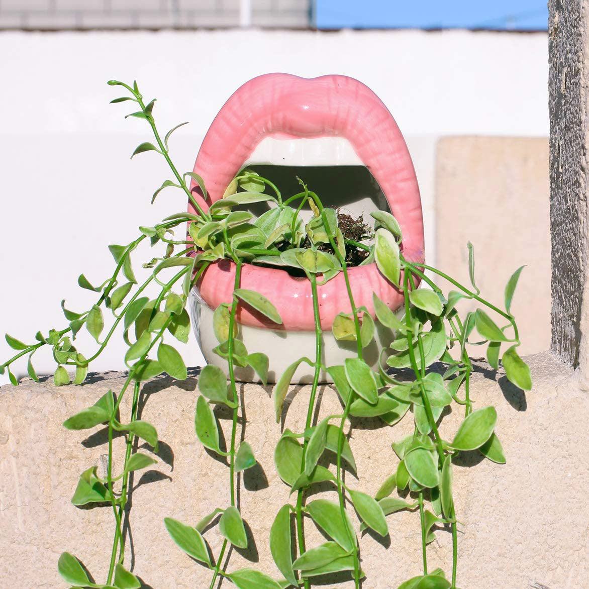 Chic Planters | Lip-Shaped Flower Pot with Shiny Ceramic Finish | Unique Indoor Decor for Succulents and Herbs