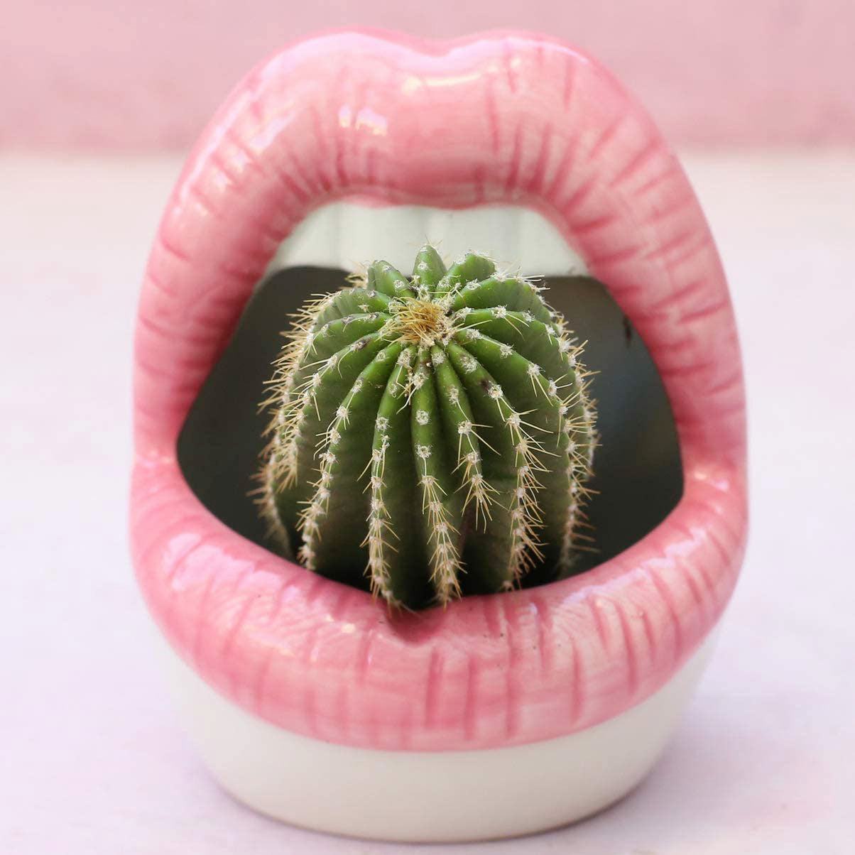 Chic Planters | Lip-Shaped Flower Pot with Shiny Ceramic Finish | Unique Indoor Decor for Succulents and Herbs