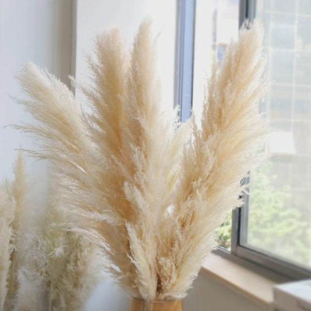 Elegant Collection | Dried Pampas Grass for Home Decor with Luxurious Plumes | Set of 4 Stems for Timeless Style