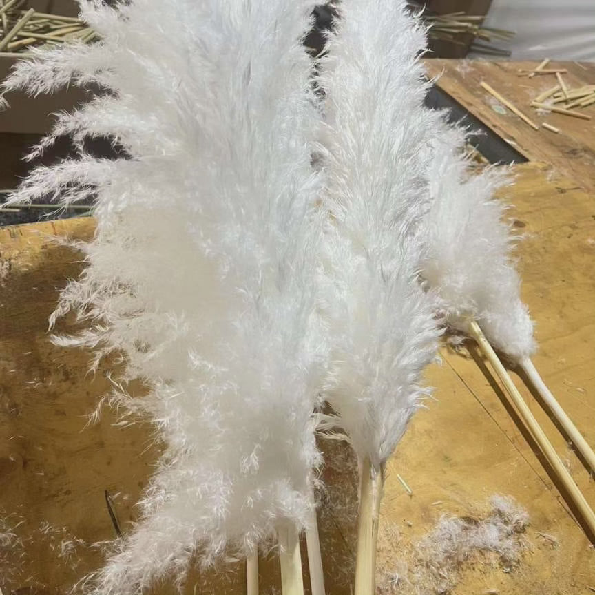 Elegant Collection | Dried Pampas Grass for Home Decor with Luxurious Plumes | Set of 4 Stems for Timeless Style