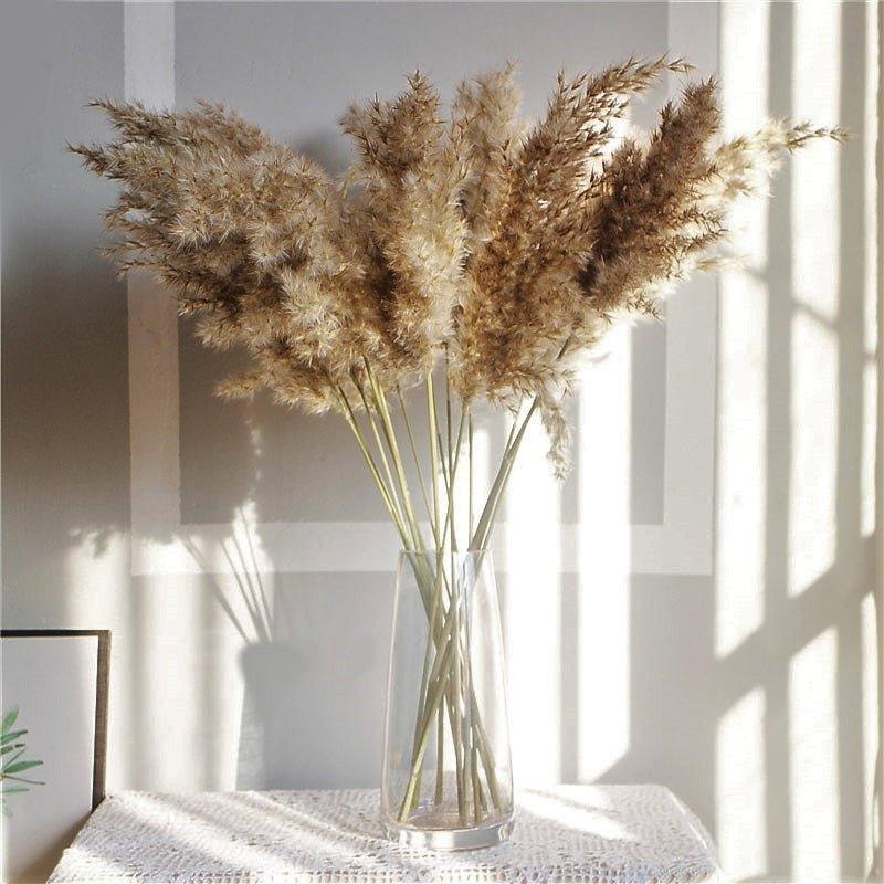 Elegant Dried Flower Bouquet | Natural Pampas Grass with Fluffy Feathers | Long-Lasting Home Decor for Modern Spaces