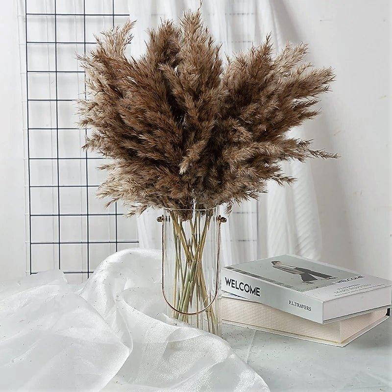 Elegant Dried Flower Bouquet | Natural Pampas Grass with Fluffy Feathers | Long-Lasting Home Decor for Modern Spaces