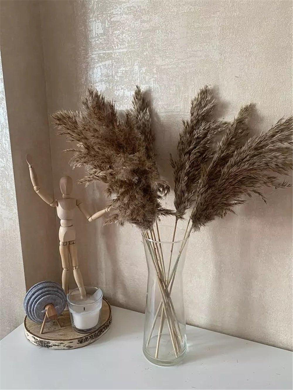 Elegant Dried Flower Bouquet | Natural Pampas Grass with Fluffy Feathers | Long-Lasting Home Decor for Modern Spaces