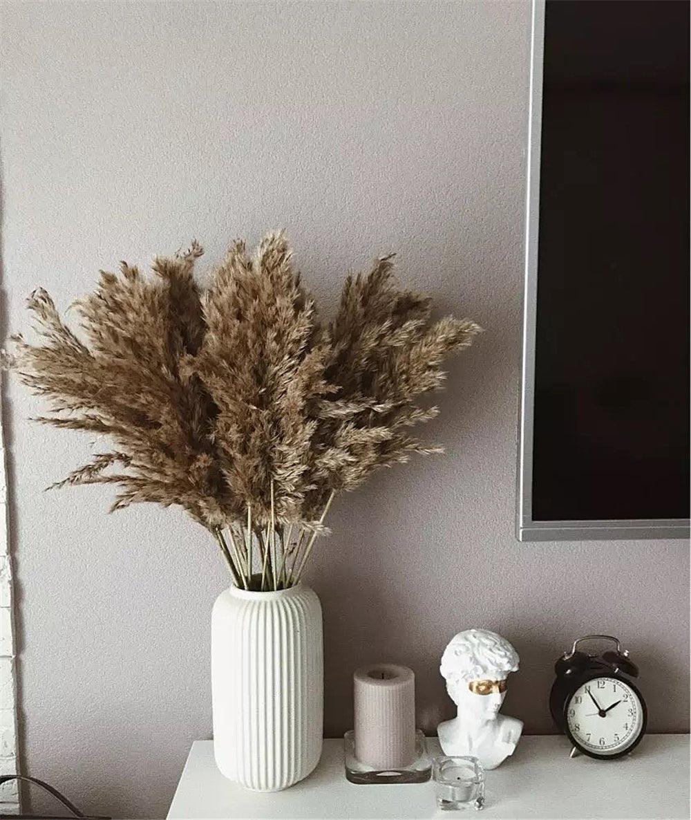 Elegant Dried Flower Bouquet | Natural Pampas Grass with Fluffy Feathers | Long-Lasting Home Decor for Modern Spaces