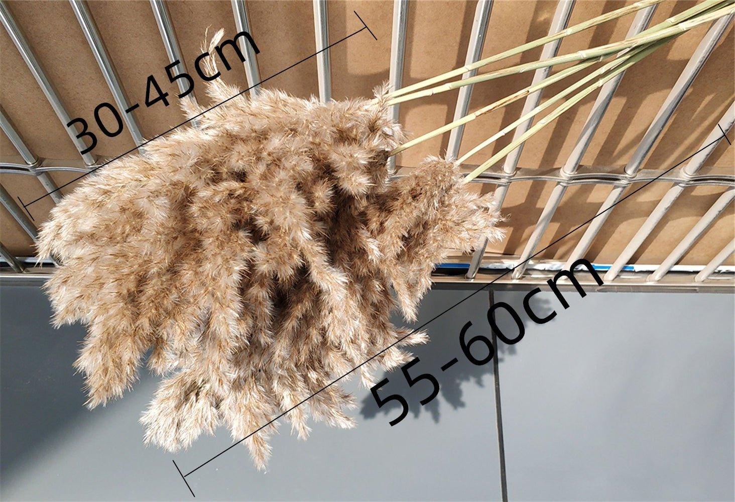 Elegant Dried Flower Bouquet | Natural Pampas Grass with Fluffy Feathers | Long-Lasting Home Decor for Modern Spaces