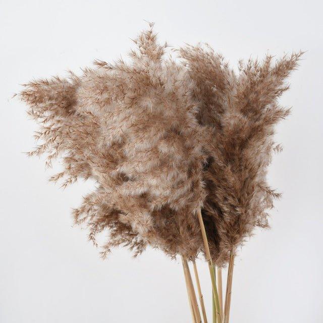 Elegant Dried Flower Bouquet | Natural Pampas Grass with Fluffy Feathers | Long-Lasting Home Decor for Modern Spaces