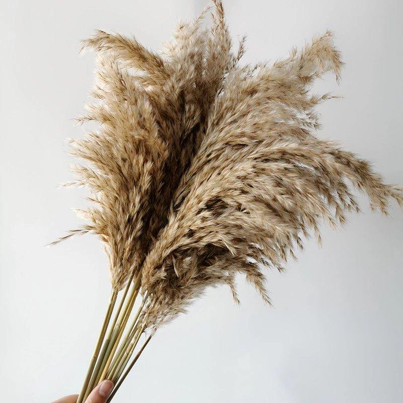 Elegant Dried Flower Bouquet | Natural Pampas Grass with Fluffy Feathers | Long-Lasting Home Decor for Modern Spaces