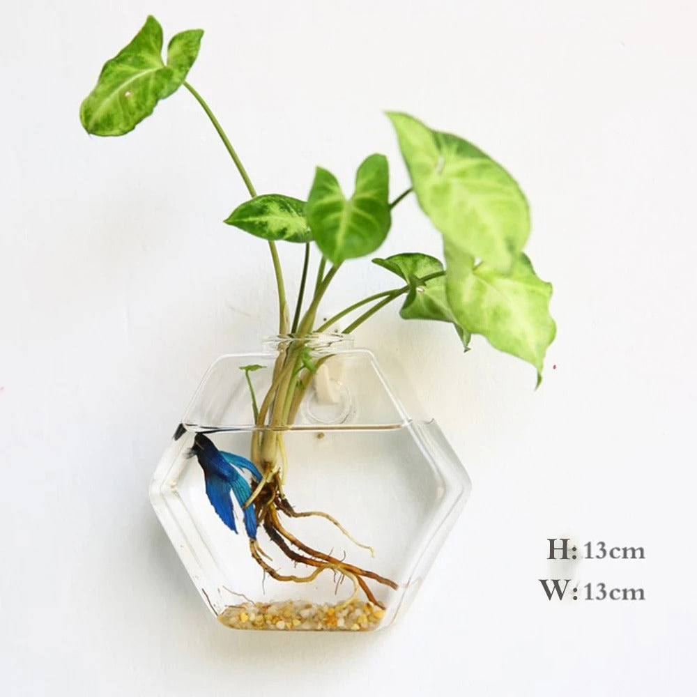 Elegant Glass Wall Vase | Wall Mounted Design for Stylish Home Decor