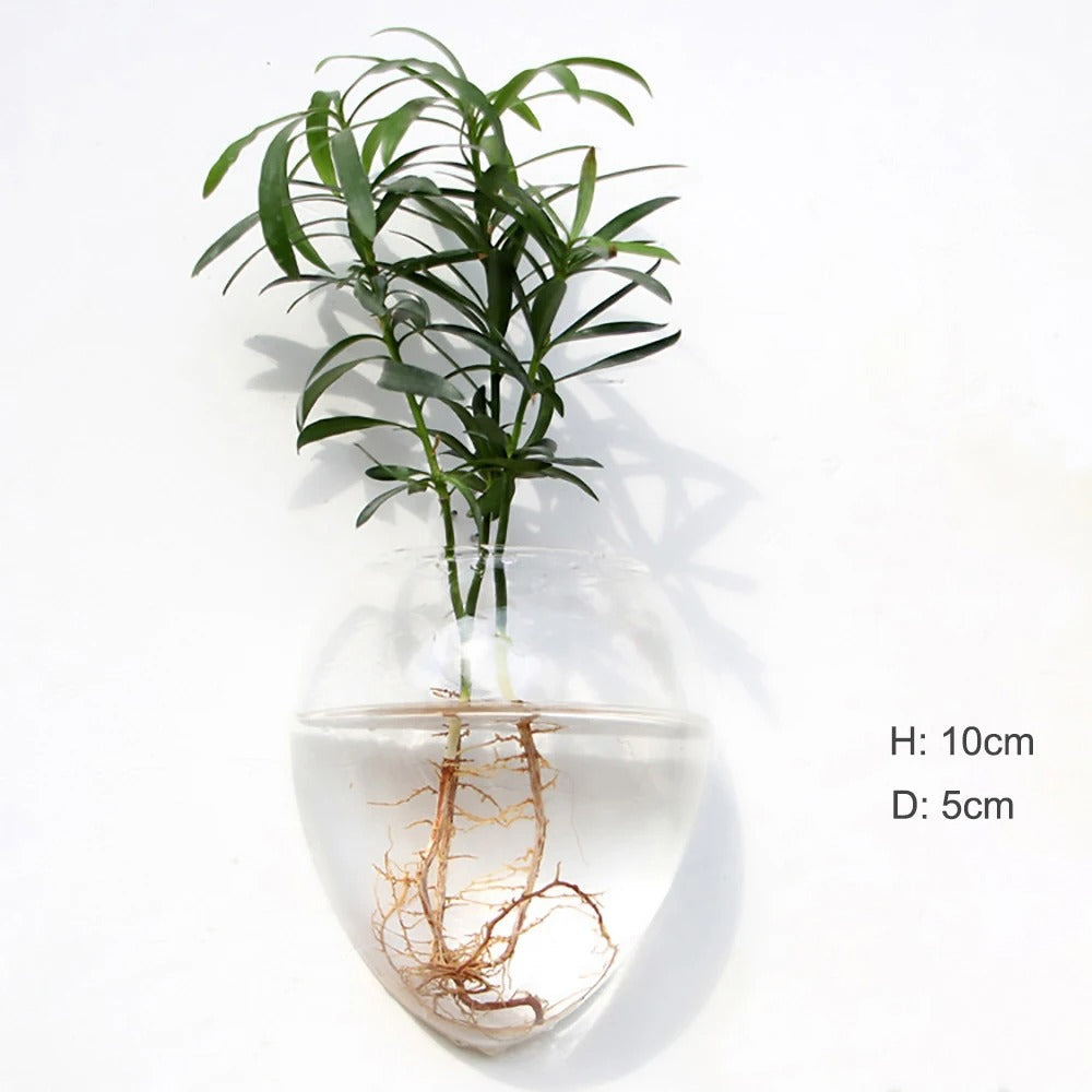 Elegant Glass Wall Vase | Wall Mounted Design for Stylish Home Decor