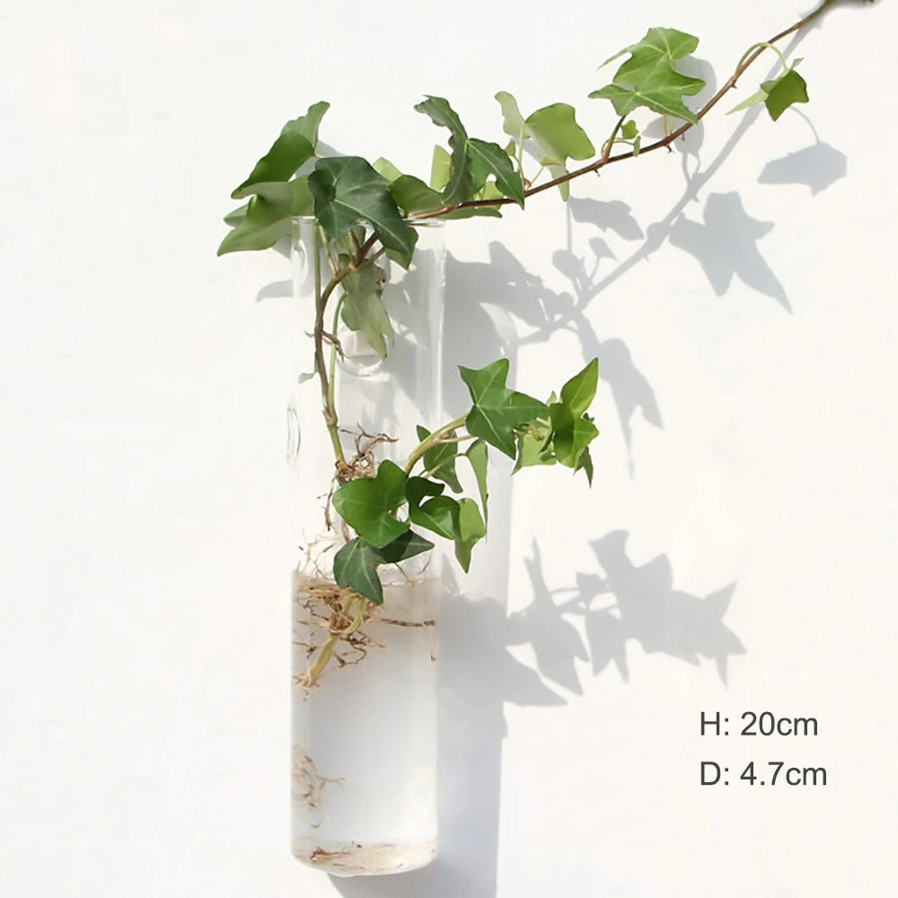 Elegant Glass Wall Vase | Wall Mounted Design for Stylish Home Decor