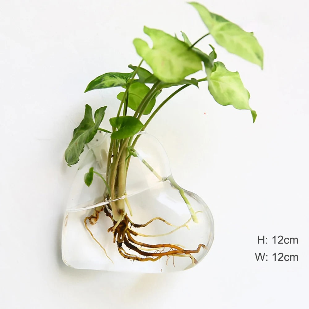 Elegant Glass Wall Vase | Wall Mounted Design for Stylish Home Decor
