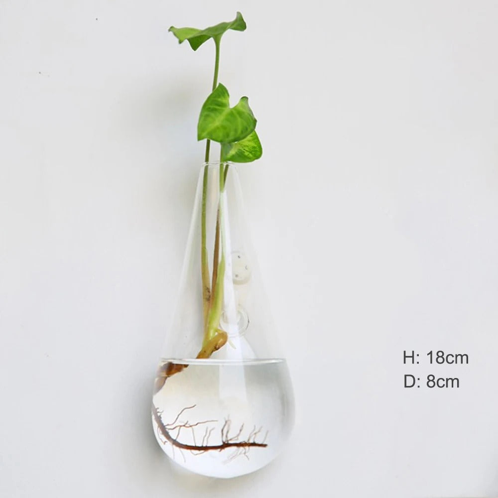 Elegant Glass Wall Vase | Wall Mounted Design for Stylish Home Decor