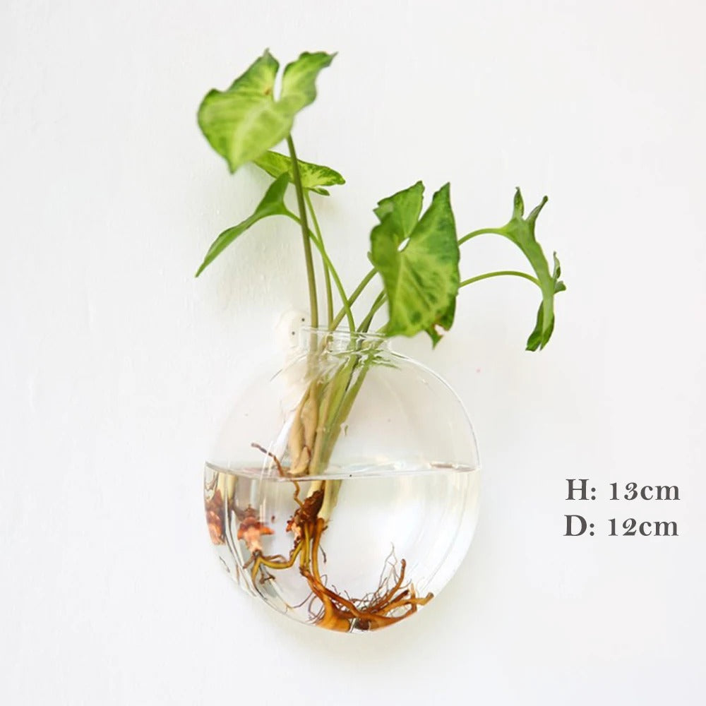 Elegant Glass Wall Vase | Wall Mounted Design for Stylish Home Decor