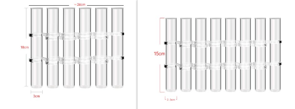 Flexible Flower Vase | Adjustable Glass Design for Unique Floral Arrangements