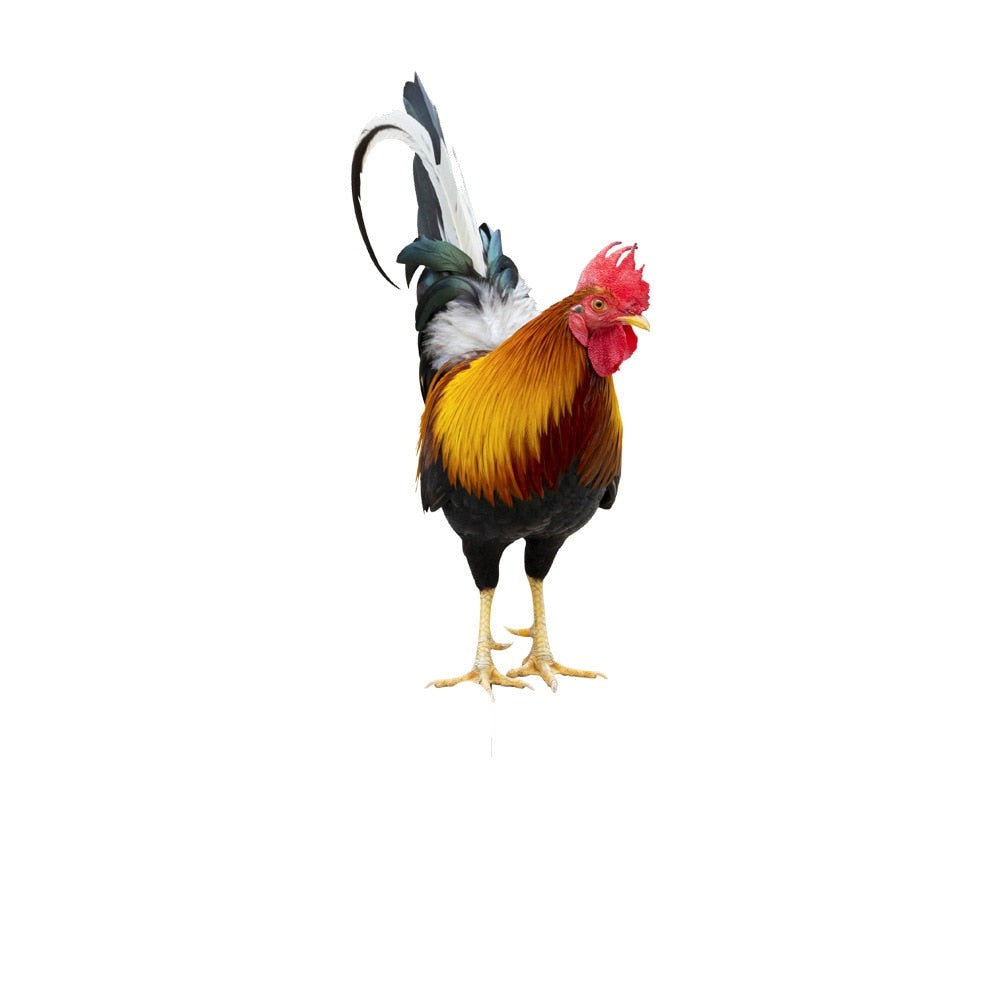 Garden Decor Statues | Feathered Bird Figure with Intricate Design | Durable Acrylic for Outdoor Elegance