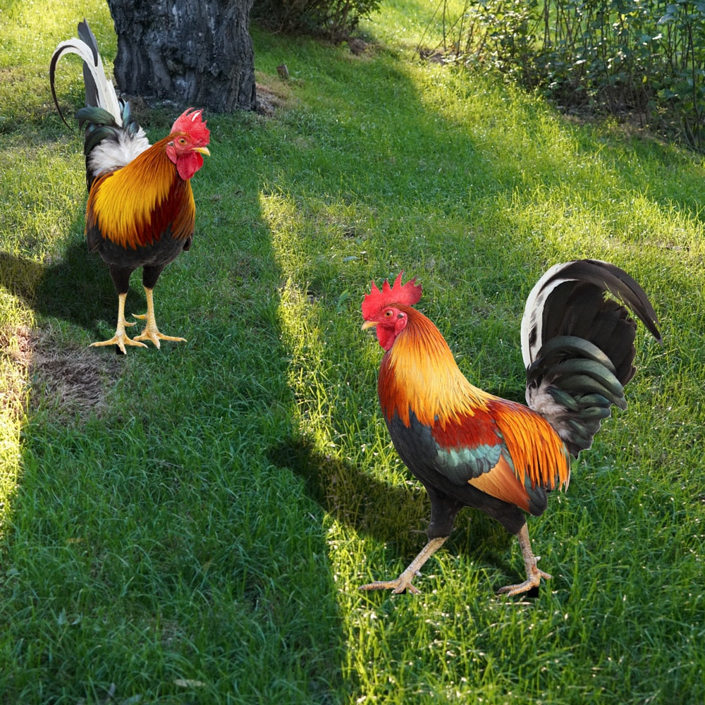 Garden Decor Statues | Feathered Bird Figure with Intricate Design | Durable Acrylic for Outdoor Elegance