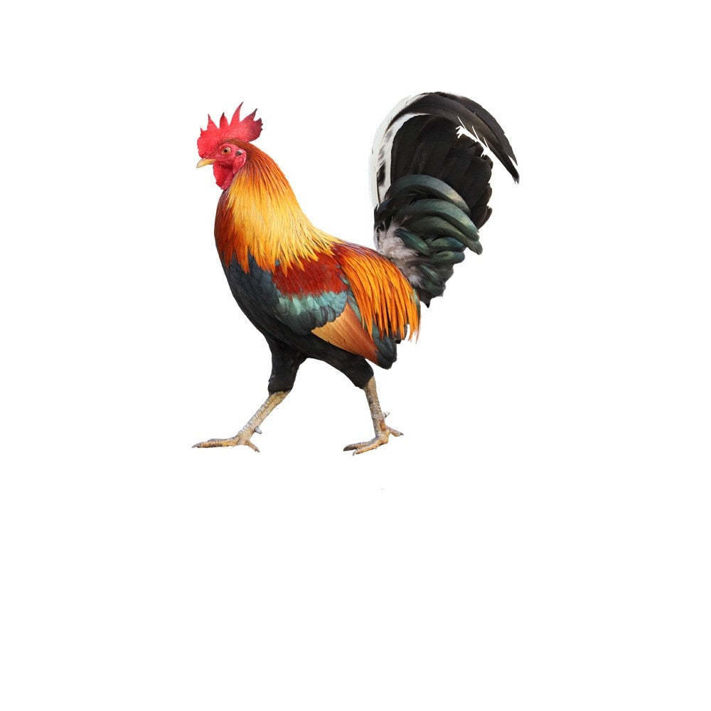 Garden Decor Statues | Feathered Bird Figure with Intricate Design | Durable Acrylic for Outdoor Elegance