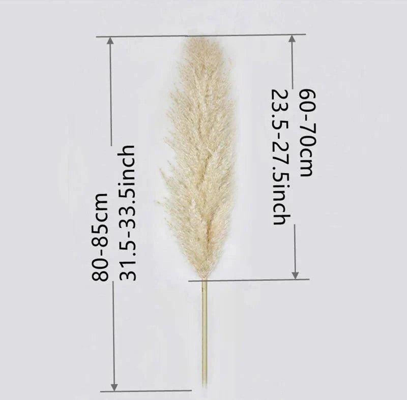 Natural Dried Flower Bouquet | 80 cm Pampas Grass with Fluffy Feathers | Elegant Home Decor for Boho Aesthetic