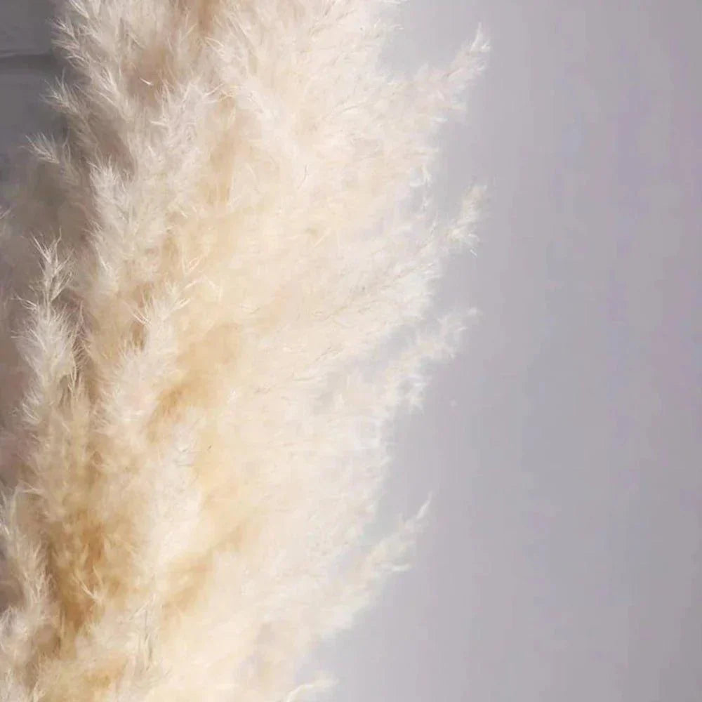 Natural Dried Flower Bouquet | 80 cm Pampas Grass with Fluffy Feathers | Elegant Home Decor for Boho Aesthetic