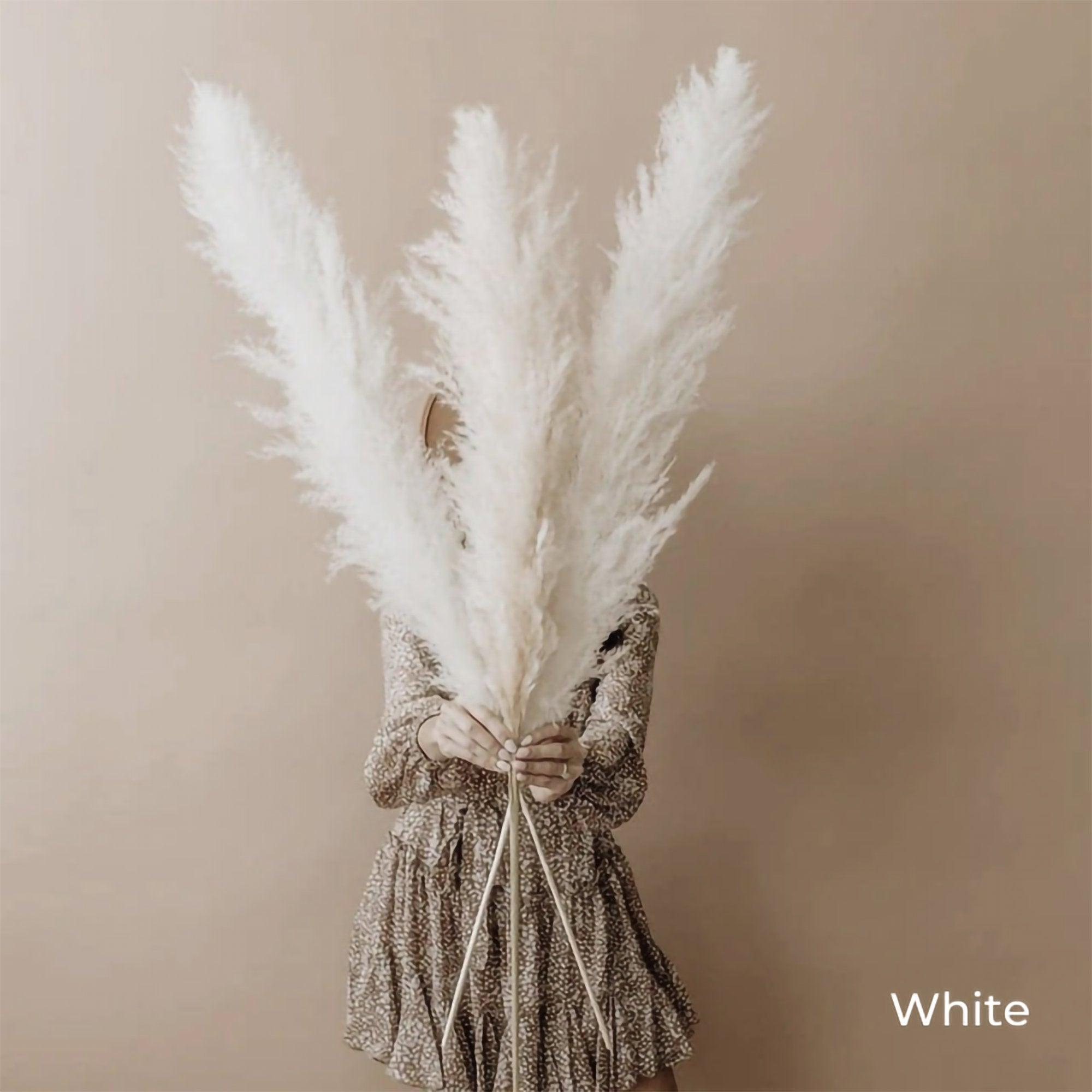 Natural Dried Flower Bouquet | 80 cm Pampas Grass with Fluffy Feathers | Elegant Home Decor for Boho Aesthetic