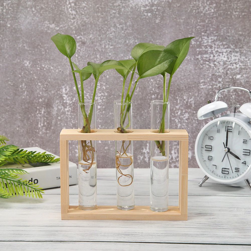 Test Tube Glass Vase with Unique Design | Perfect for Dark Academia Decor