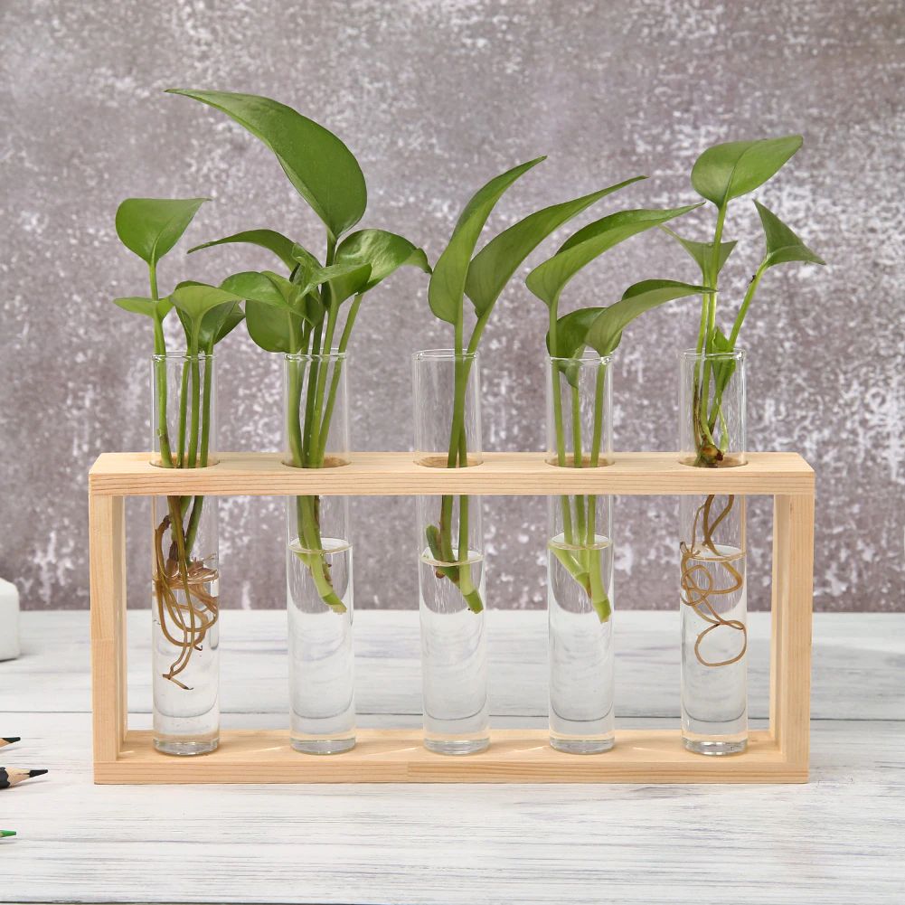Test Tube Glass Vase with Unique Design | Perfect for Dark Academia Decor