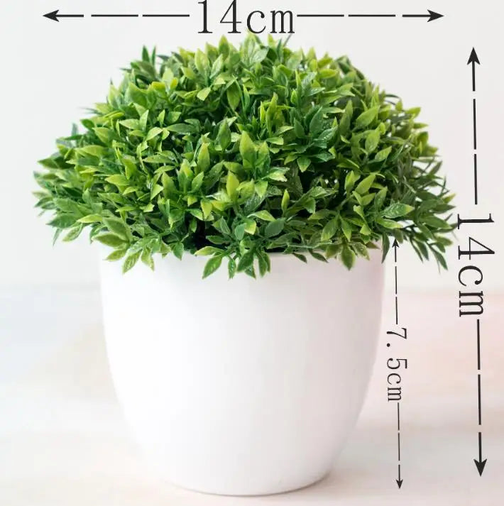 Zen Collection | Mini Bonsai Plant for Tranquil Indoor Decor | Perfect Desk Accent for Serenity