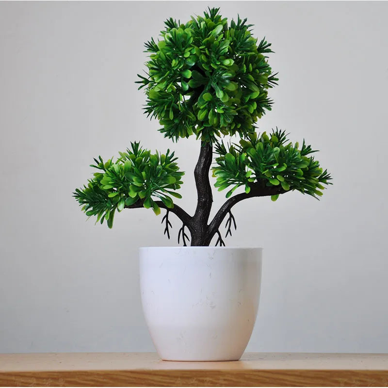 Zen Collection | Mini Bonsai Plant for Tranquil Indoor Decor | Perfect Desk Accent for Serenity
