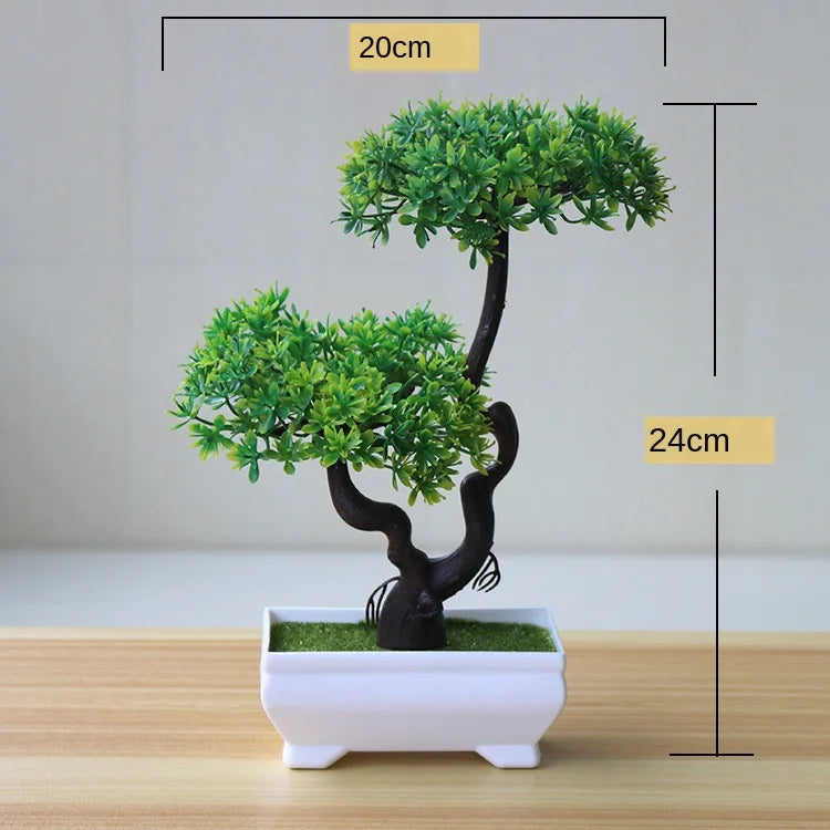 Zen Collection | Mini Bonsai Plant for Tranquil Indoor Decor | Perfect Desk Accent for Serenity