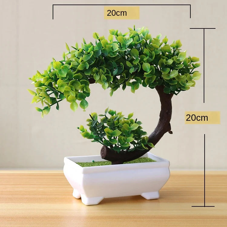 Zen Collection | Mini Bonsai Plant for Tranquil Indoor Decor | Perfect Desk Accent for Serenity