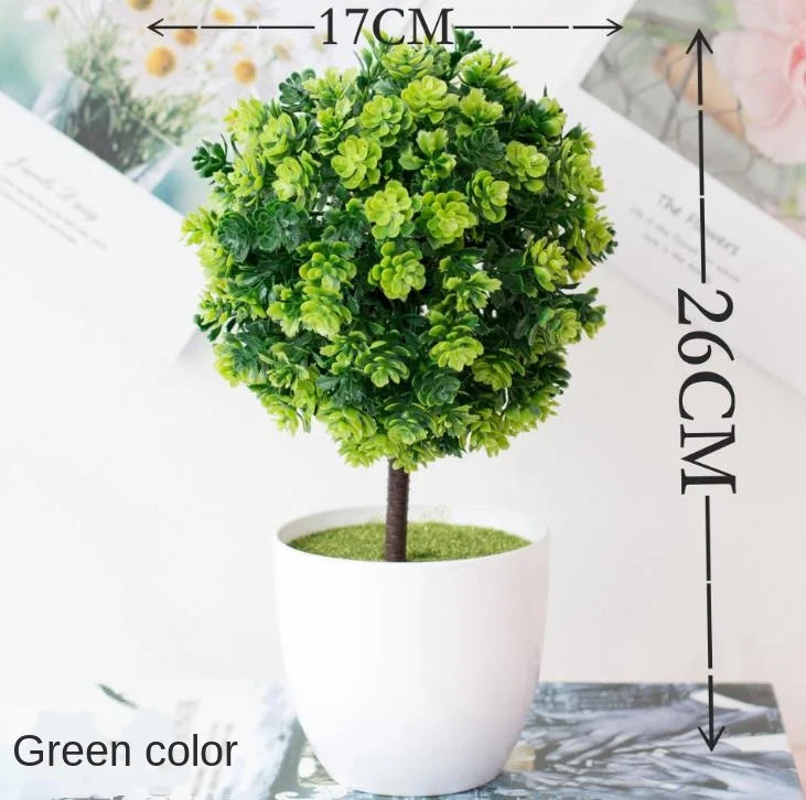 Zen Collection | Mini Bonsai Plant for Tranquil Indoor Decor | Perfect Desk Accent for Serenity