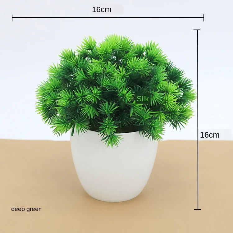 Zen Collection | Mini Bonsai Plant for Tranquil Indoor Decor | Perfect Desk Accent for Serenity