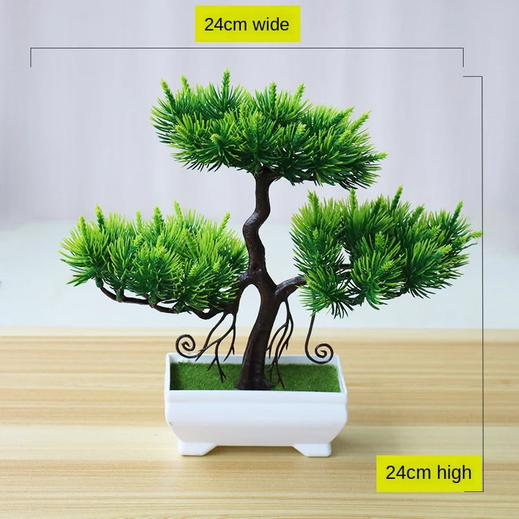 Zen Collection | Mini Bonsai Plant for Tranquil Indoor Decor | Perfect Desk Accent for Serenity