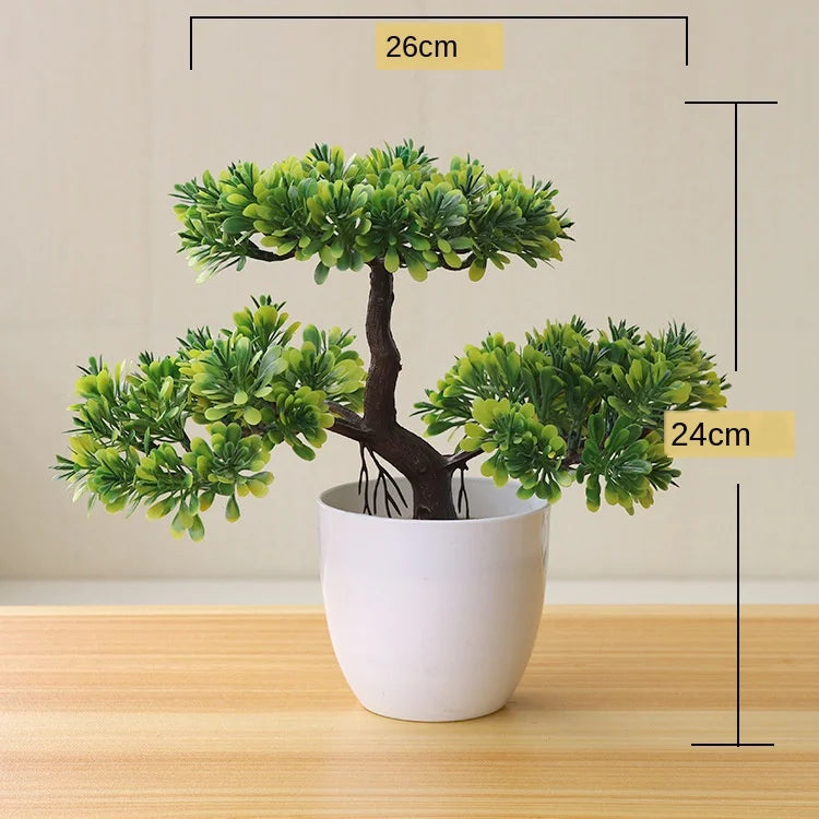 Zen Collection | Mini Bonsai Plant for Tranquil Indoor Decor | Perfect Desk Accent for Serenity