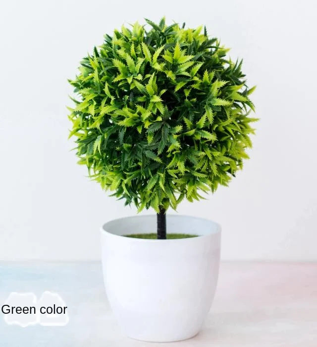 Zen Collection | Mini Bonsai Plant for Tranquil Indoor Decor | Perfect Desk Accent for Serenity