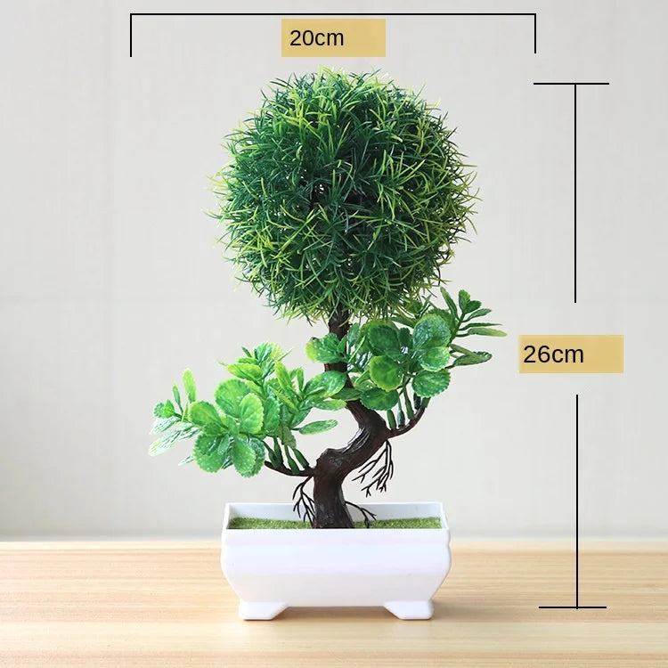 Zen Collection | Mini Bonsai Plant for Tranquil Indoor Decor | Perfect Desk Accent for Serenity