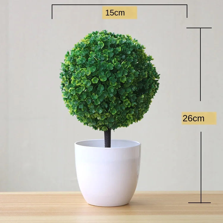 Zen Collection | Mini Bonsai Plant for Tranquil Indoor Decor | Perfect Desk Accent for Serenity