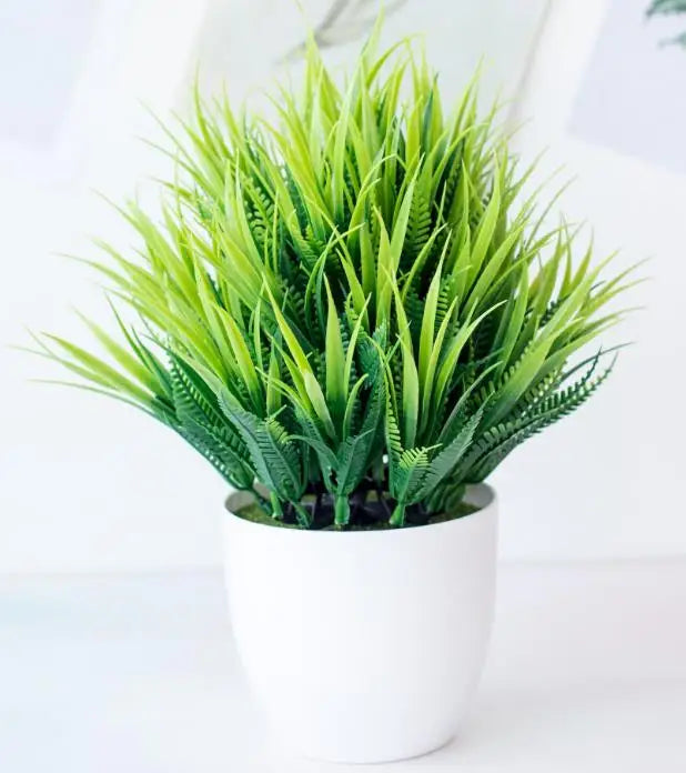 Zen Collection | Mini Bonsai Plant for Tranquil Indoor Decor | Perfect Desk Accent for Serenity