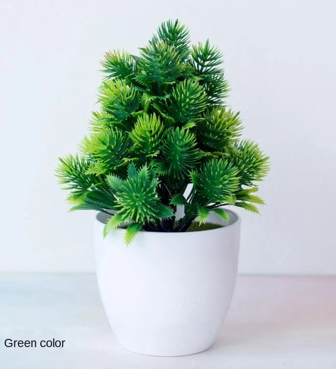 Zen Collection | Mini Bonsai Plant for Tranquil Indoor Decor | Perfect Desk Accent for Serenity