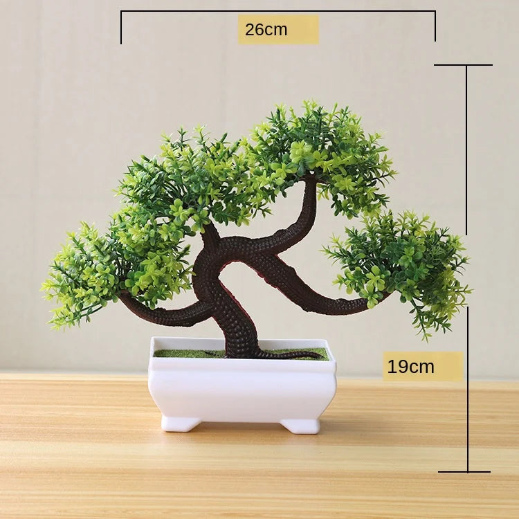 Zen Collection | Mini Bonsai Plant for Tranquil Indoor Decor | Perfect Desk Accent for Serenity