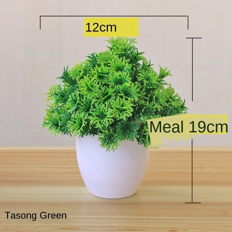 Zen Collection | Mini Bonsai Plant for Tranquil Indoor Decor | Perfect Desk Accent for Serenity