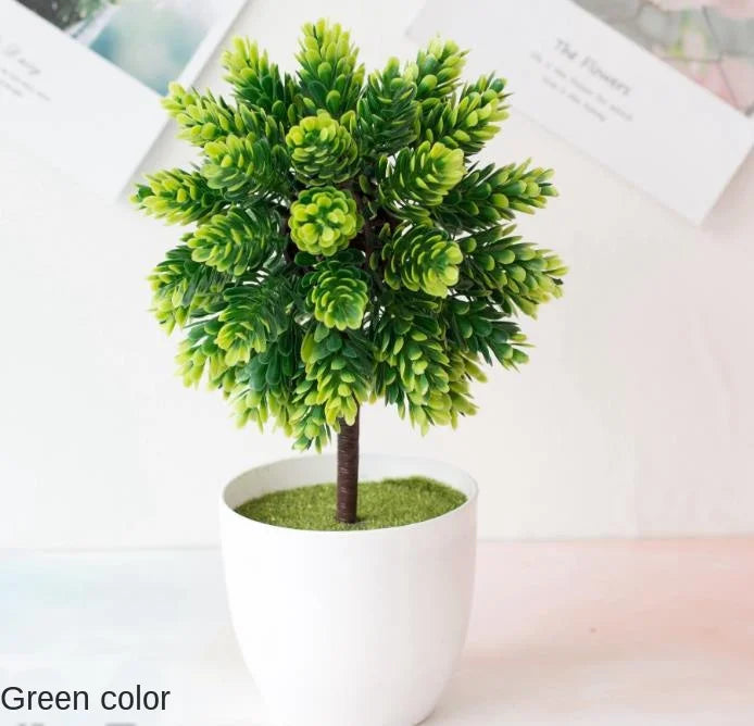Zen Collection | Mini Bonsai Plant for Tranquil Indoor Decor | Perfect Desk Accent for Serenity