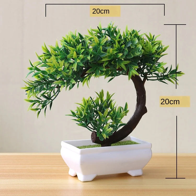 Zen Collection | Mini Bonsai Plant for Tranquil Indoor Decor | Perfect Desk Accent for Serenity