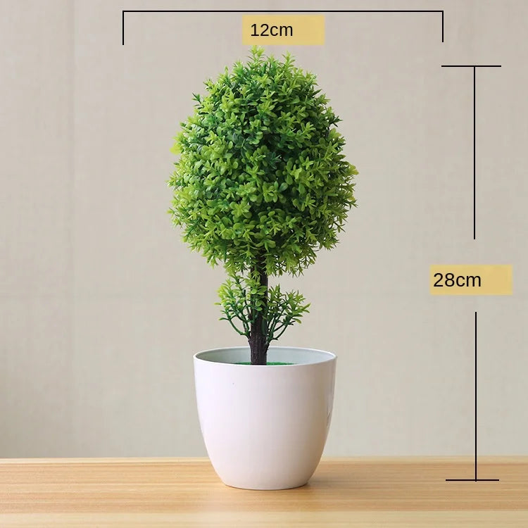 Zen Collection | Mini Bonsai Plant for Tranquil Indoor Decor | Perfect Desk Accent for Serenity