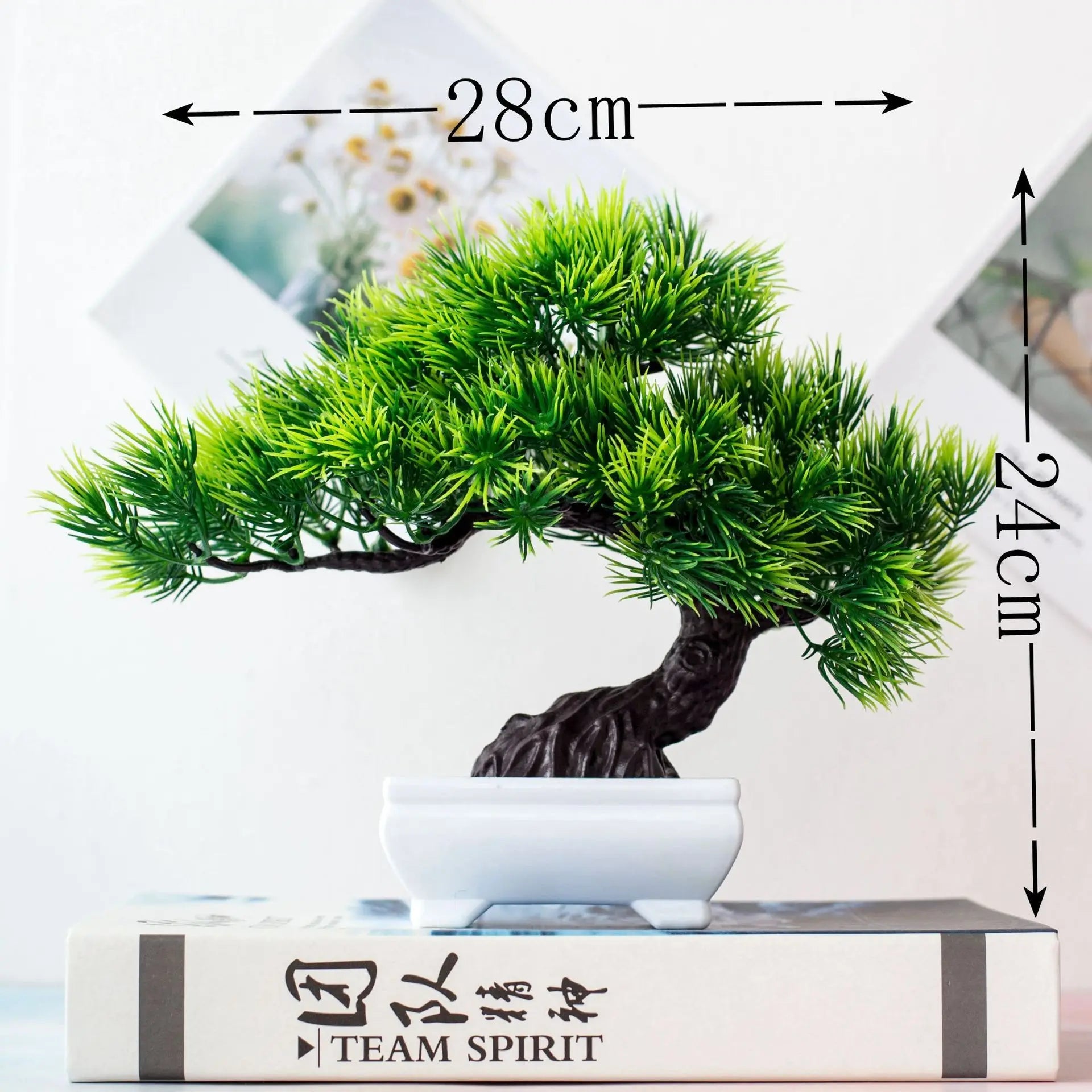 Zen Collection | Mini Bonsai Plant for Tranquil Indoor Decor | Perfect Desk Accent for Serenity