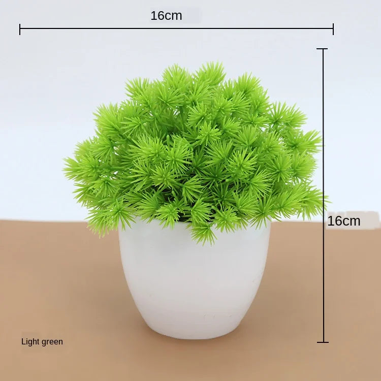 Zen Collection | Mini Bonsai Plant for Tranquil Indoor Decor | Perfect Desk Accent for Serenity