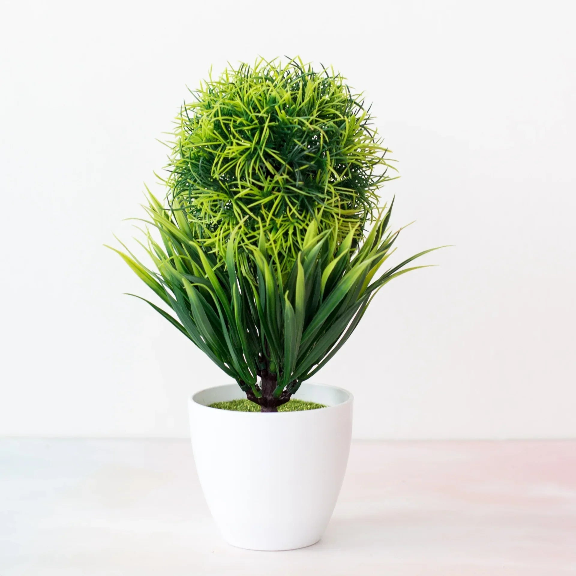Zen Collection | Mini Bonsai Plant for Tranquil Indoor Decor | Perfect Desk Accent for Serenity