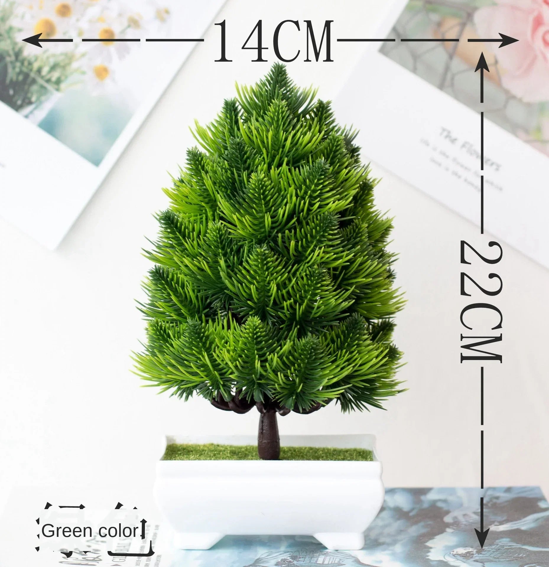 Zen Collection | Mini Bonsai Plant for Tranquil Indoor Decor | Perfect Desk Accent for Serenity