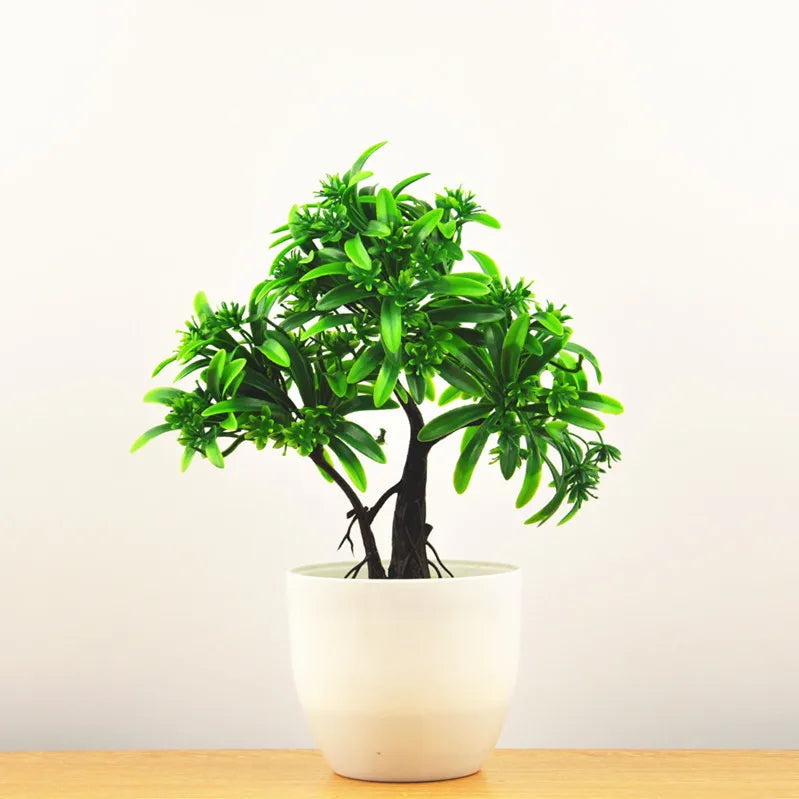 Zen Collection | Mini Bonsai Plant for Tranquil Indoor Decor | Perfect Desk Accent for Serenity