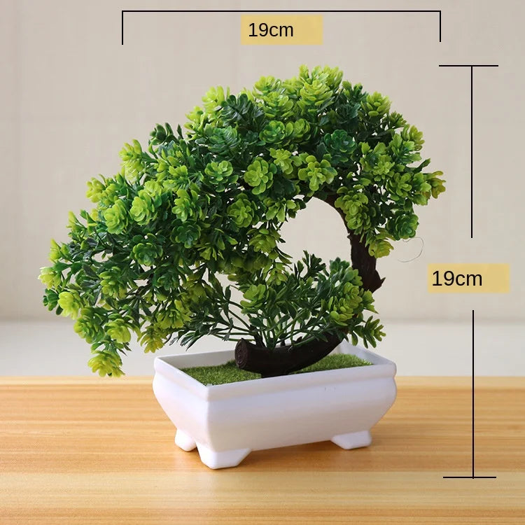 Zen Collection | Mini Bonsai Plant for Tranquil Indoor Decor | Perfect Desk Accent for Serenity